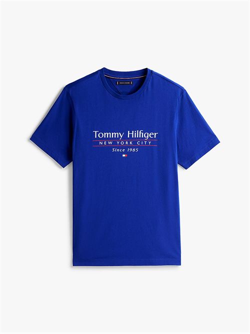 t-shirt man blue TOMMY HILFIGER | MW0MW38621D03